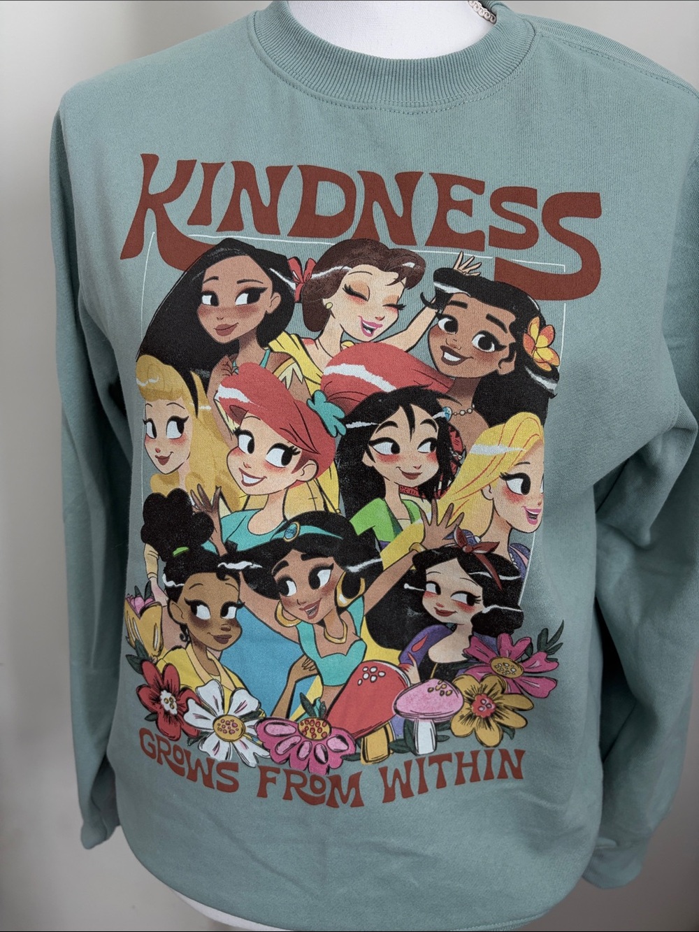 Disney Princess-Kindness Graphic Sweatshirt - Mint Green